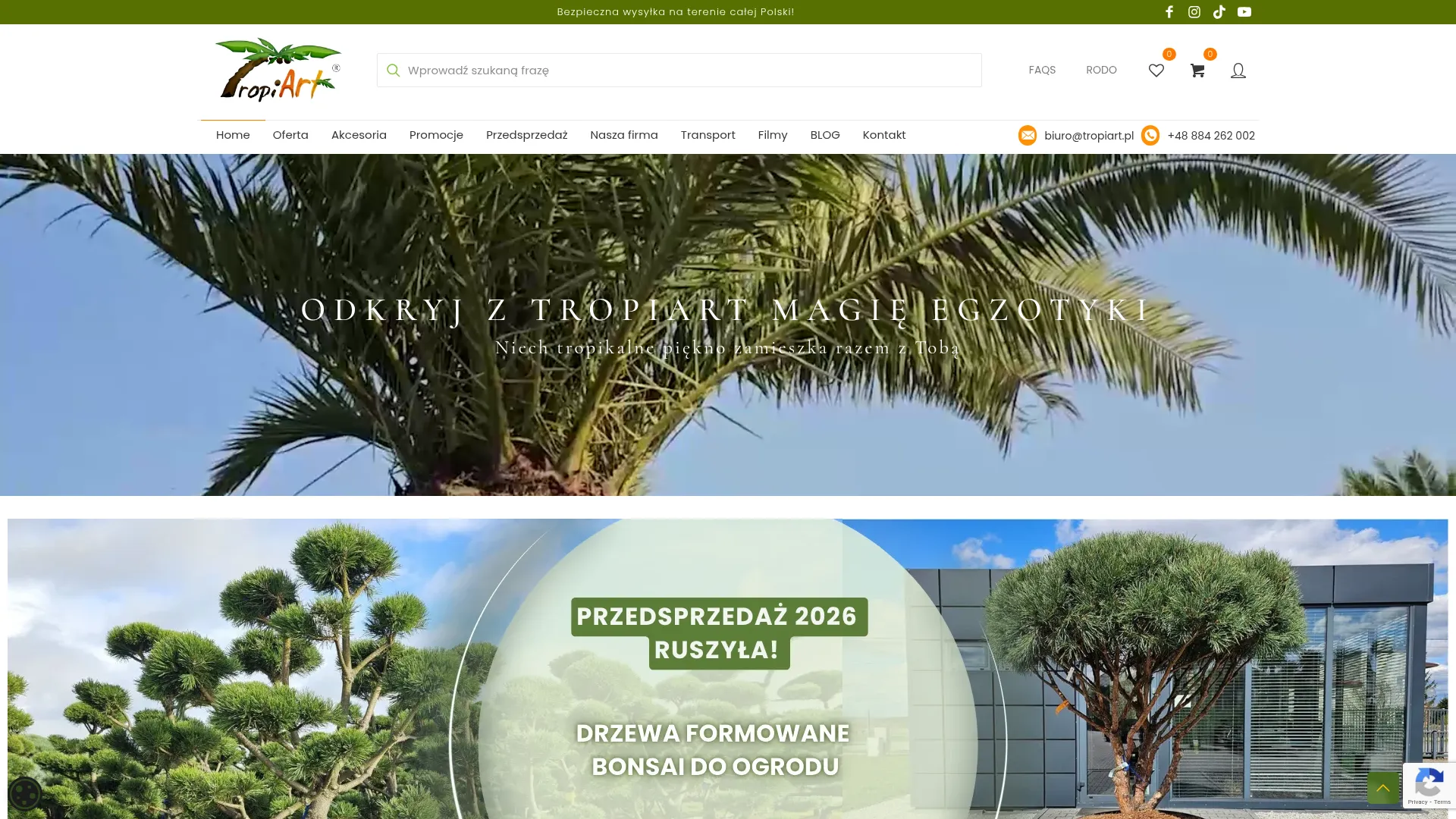 Zrzut ekranu strony internetowej