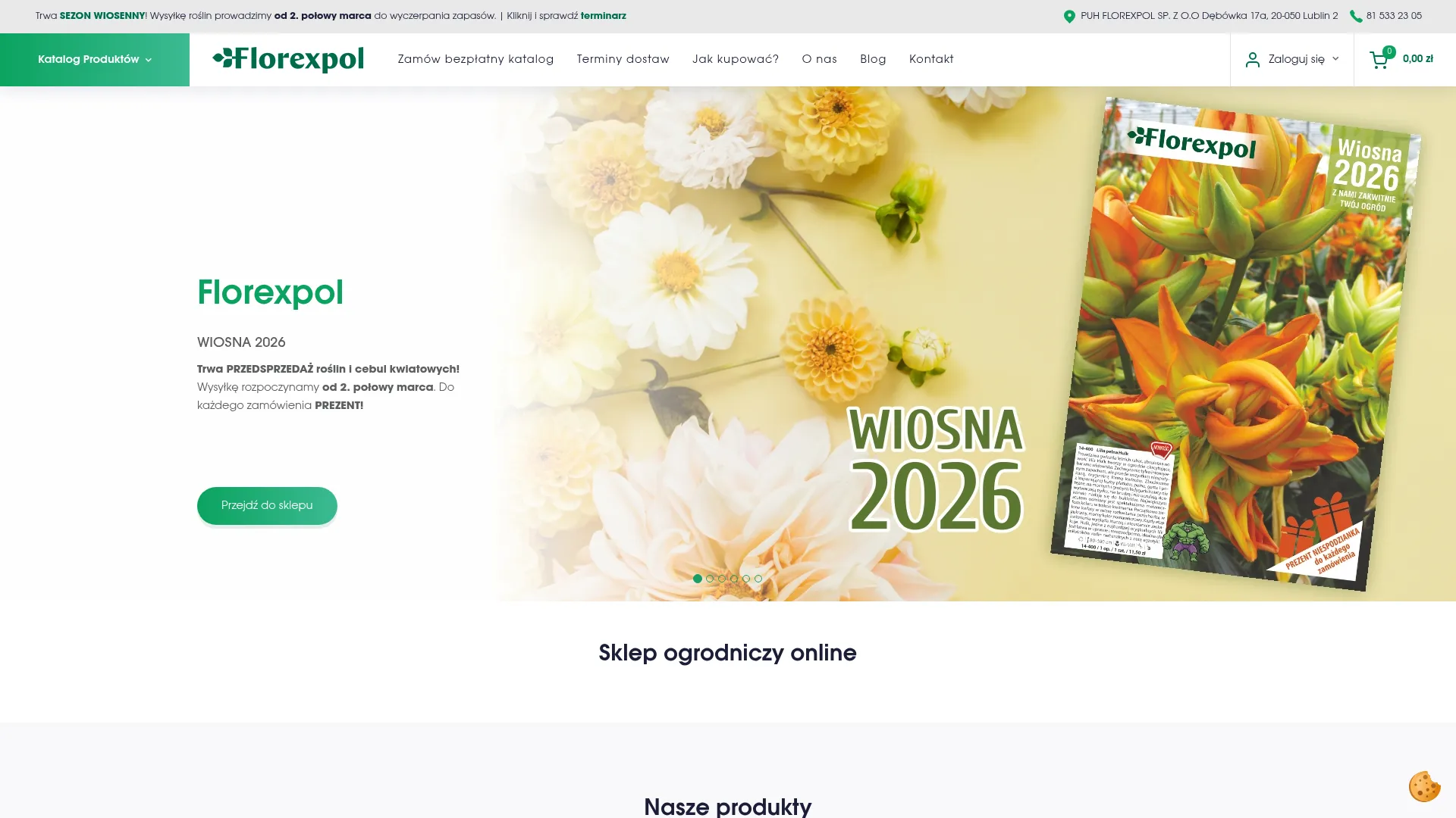 Zrzut ekranu strony internetowej